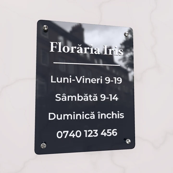 Model de plăcuță cu programul de lucru, simulare 3D